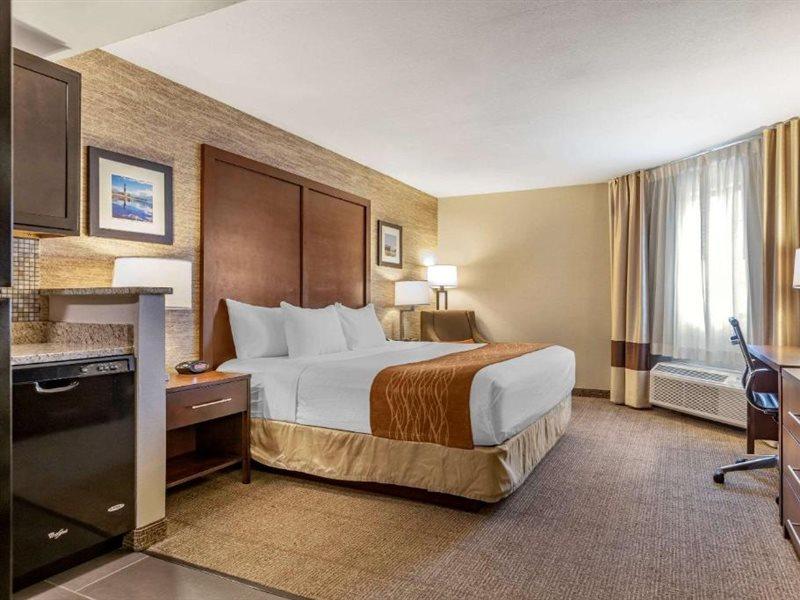 Comfort Inn Ludington Near Us-10 Bagian luar foto