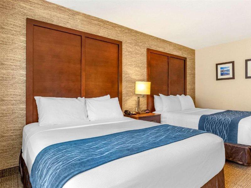 Comfort Inn Ludington Near Us-10 Bagian luar foto